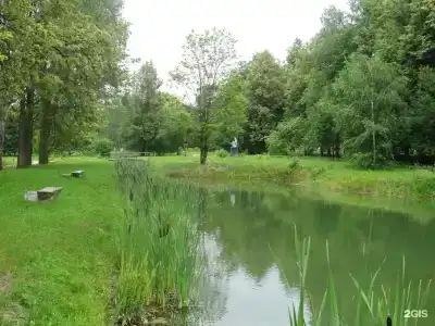 Дубки - 18