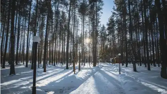 База отдыха Sherwood Park - 91