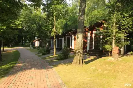 Березовая роща - 21