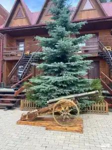 У Озера - 35