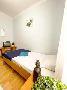 Киви и Цитрус - 29