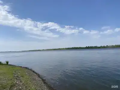 Тополя - 26
