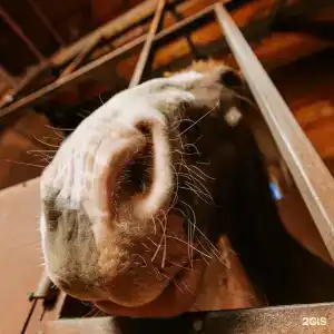 El Rancho - 177