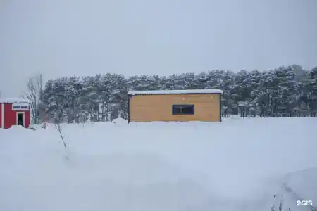 Смородина - 21