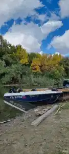 Fish Sense - 52
