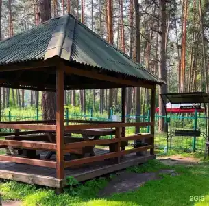 Лесные дали - 42