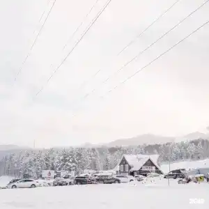 Белый соболь - 108