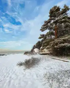 Майтри кэмп - 22