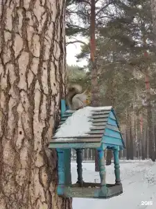 Прокопьевский - 1
