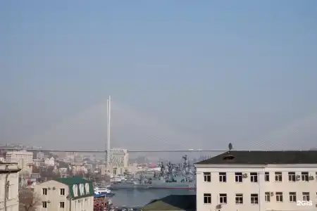 Грей - 24