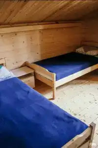 Хвойный - 10