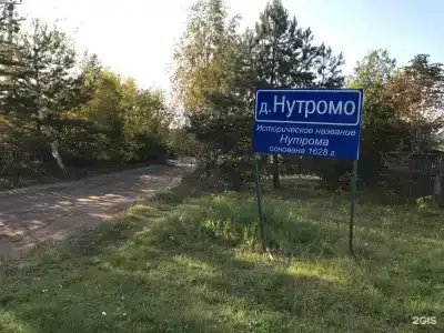 Сосны и река Волга - 43