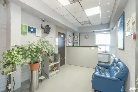 Чайка - 1