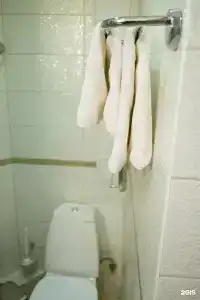 Suite - 105