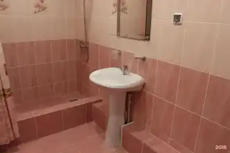 Дельфин - 69