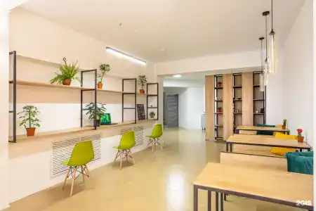Primrooms - 2