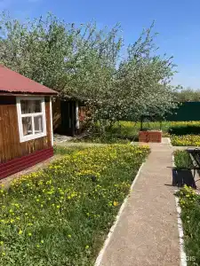 Тихий дворик - 5