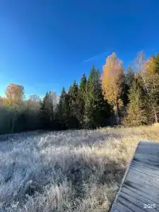 Венский Лес - 50