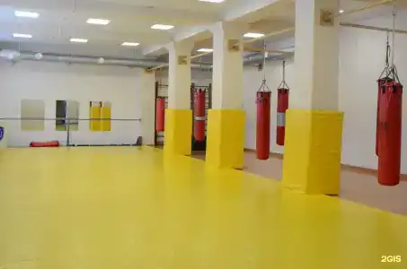 Dinamo - 26