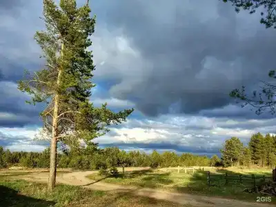 Пинежская слобода - 4