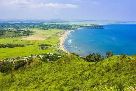 Красный кот - 7