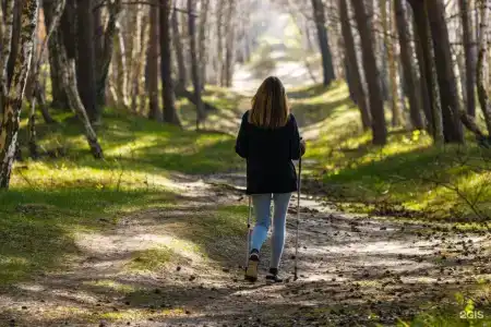 Маяковский - 41