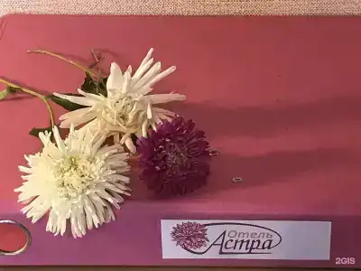 Астра - 86
