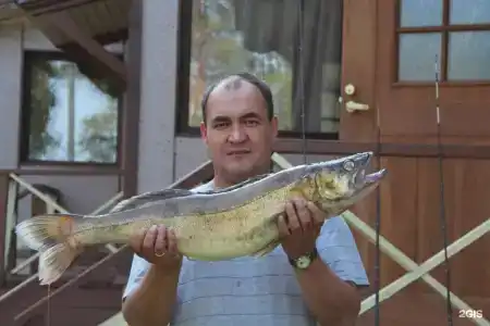 Янисъярви - 101