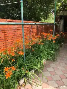 Шалбуздаг - 9