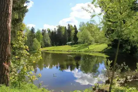 Актер - 3