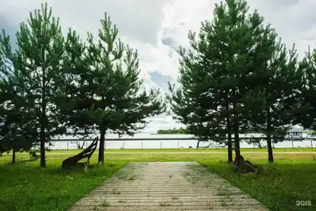 Веточка - 45