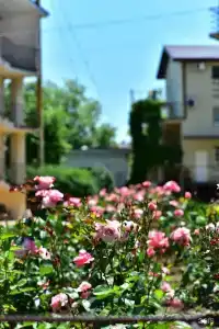 Фея 2 - 24