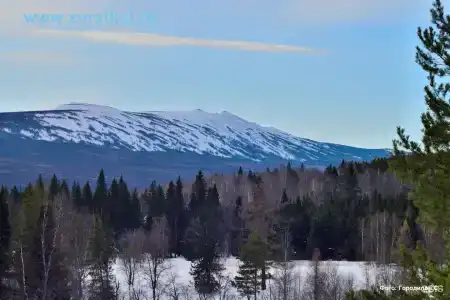 Тюлюк - 8