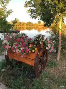 Дом Солнца - 20