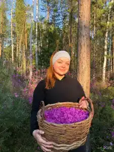 Радуга - 20