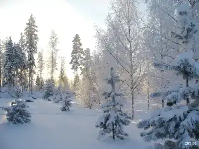 Сорола виладж - 77