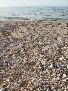 На Садовой - 21