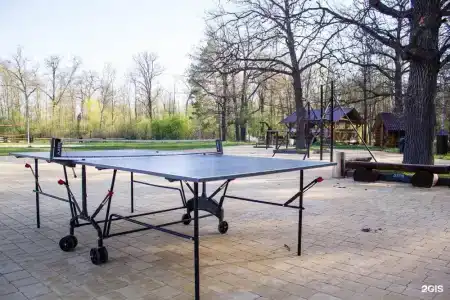 Зеленый Бор - 1