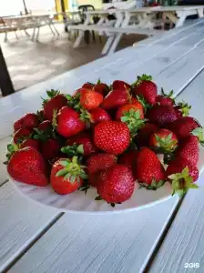 На Садовой - 41