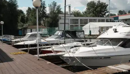 Спартак - 82