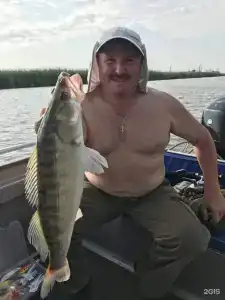 Икра - 49