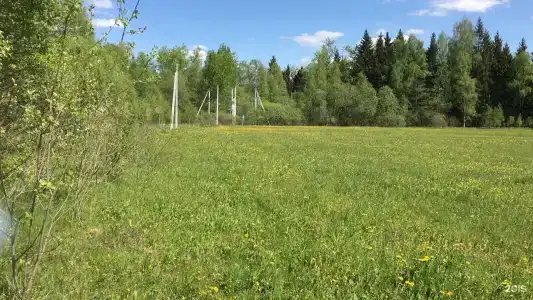 Модная коза - 37