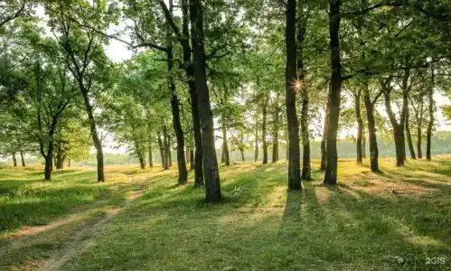Малиновка Village - 23