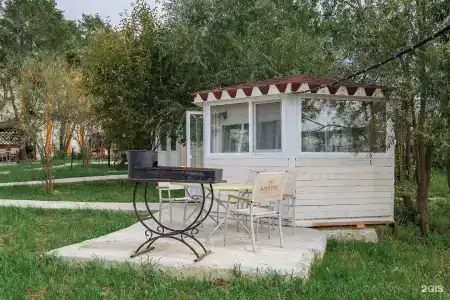 Лайм - 65