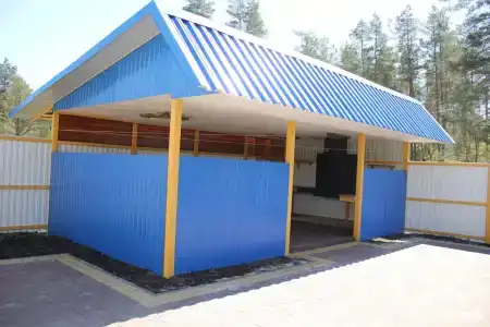 Зеленый Бор - 74