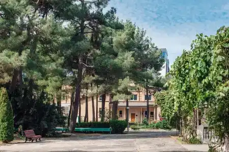 Спутник - 45
