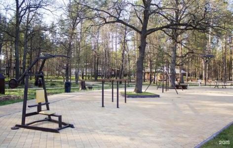 Зеленый Бор - 34