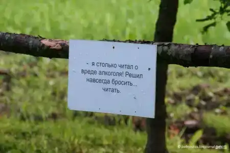 Пушкиногорье - 127