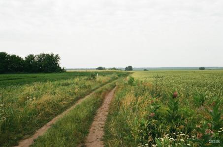 Глэмпинг Дача Липы - 13