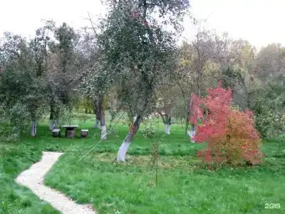 Дубки - 72